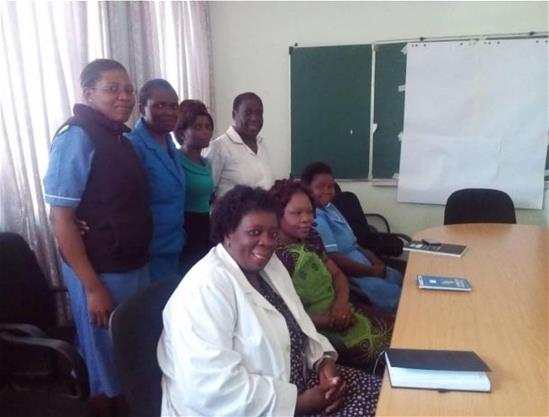 MCHNLA-Africa participants and project team at Thyolo District Hospital